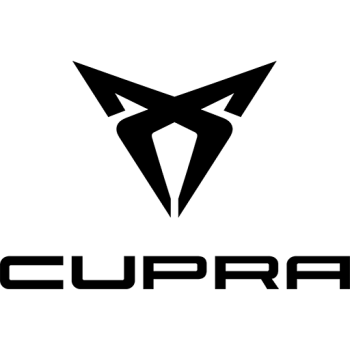 brand model