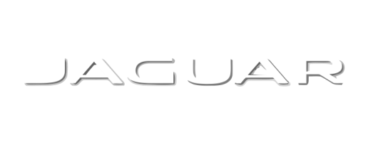 Model logo